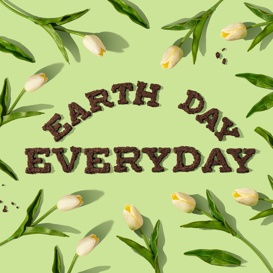 Embracing Our Green Planet: Celebrating Earth Day