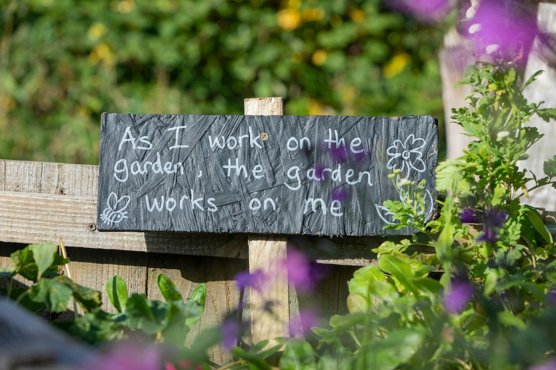 Cultivating Green: Best Gardening Practices for a Flourishing Garden