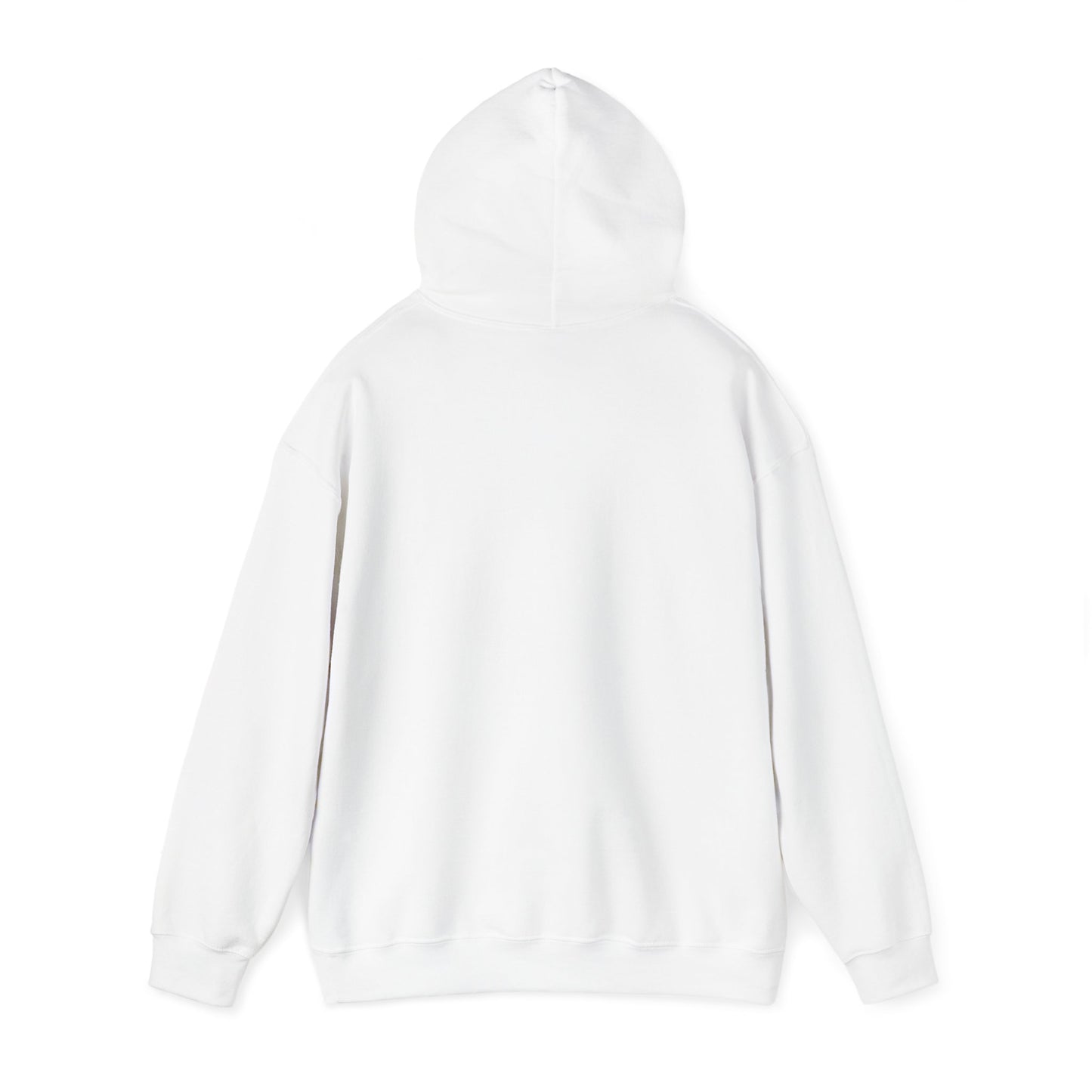 "Christian Inspiration Hooded Sweatshirt"- Hoodie