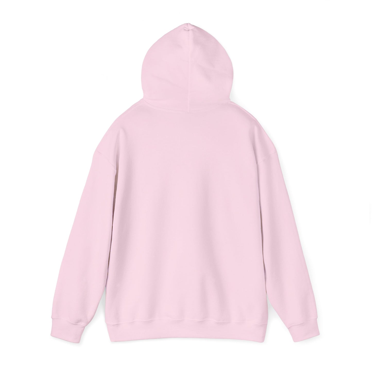 "Sass Master Hooded Sweatshirt - Embrace- Hoodie