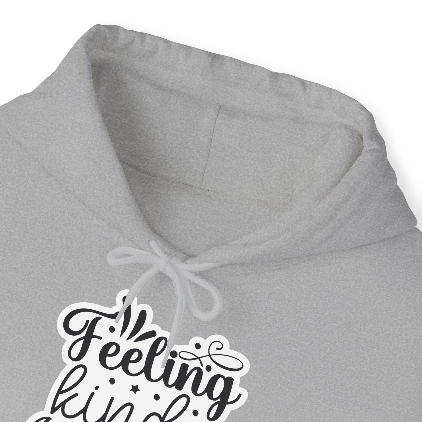 "Feeling kinda IDGAF -ish today" - Sassy Style Hooded Sweatshirt - Hoodie