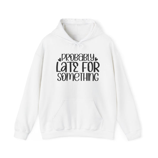 "Stay Warm and Sassy in this Sarcast- Hoodie